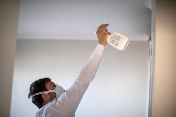 Best Insurance-Related Mold Remediation in Pho, IL