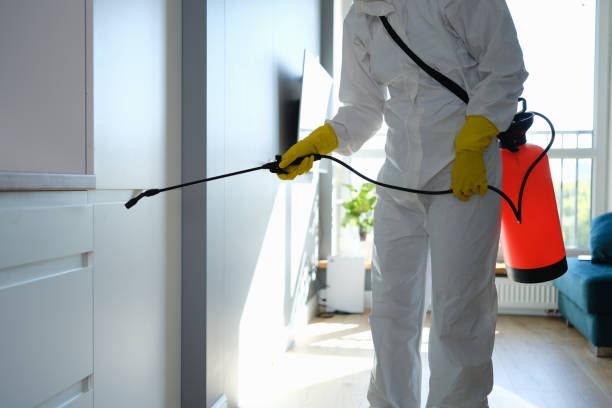 Best Commercial Mold Remediation in Pho, IL